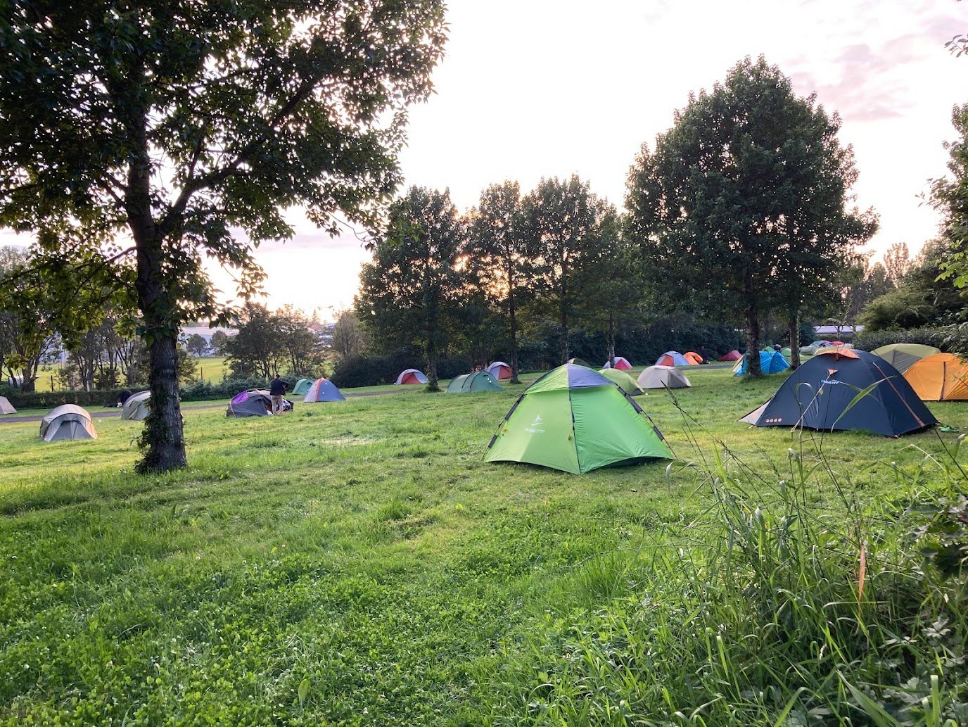 A grassy field with colorful tents set up beneath tall trees, this campsite evokes the spirit of camping in Iceland in August, perhaps along the scenic Ring Road under a partly cloudy sky.