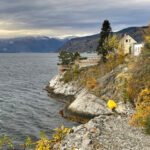 Stunning view of Norwegian fjords, a must-see when you visit Norway. Dive into the essential things to know about Norway before embarking on your journey