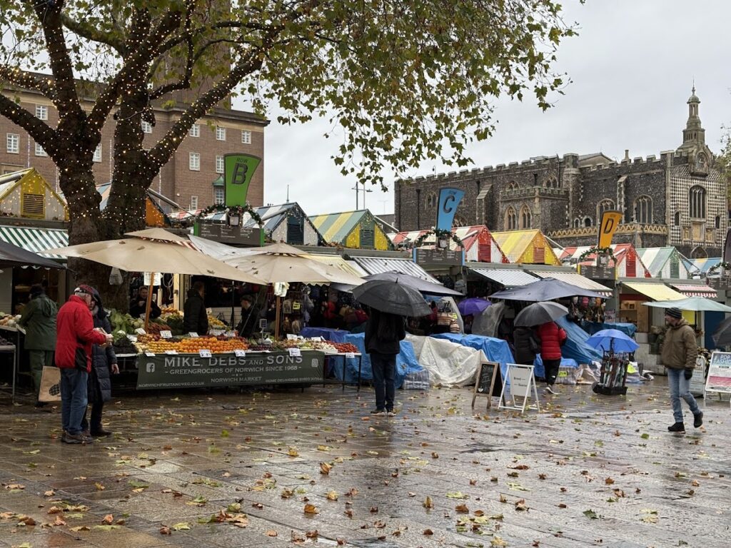 A bustling outdoor market unfolds on a rainy day in Norwich, Norfolk, England. People clutch umbrellas while browsing stalls under a tree shimmering with lights. Colorful tents complement an old stone building, and the wet pavement captures the lively scene—a must-see for off-season travel enthusiasts.