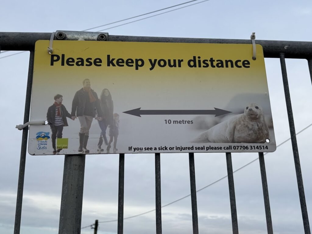 A sign on a metal fence reads Please keep your distance with an arrow showing 10 metres between a walking family and a seal. For sightings of sick or injured Seals in Norfolk, a phone number is provided to call for help.