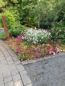 A garden bed with vibrant flowers, including clusters of white, pink, and purple blooms, lines a curved stone path—evoking the colorful landscapes seen while camping in Iceland along the Ring Road under natural sunlight.