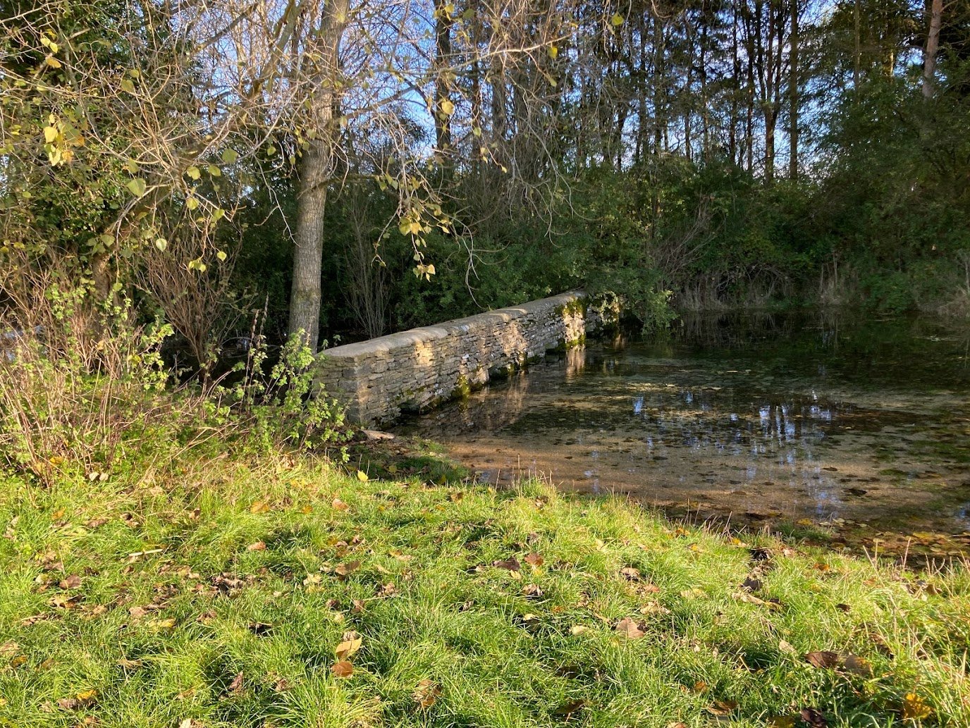 A small stone bridge crosses a shallow, clear stream along the Thames Path, surrounded by green grass and leafy trees, with sunlight filtering through the branches.