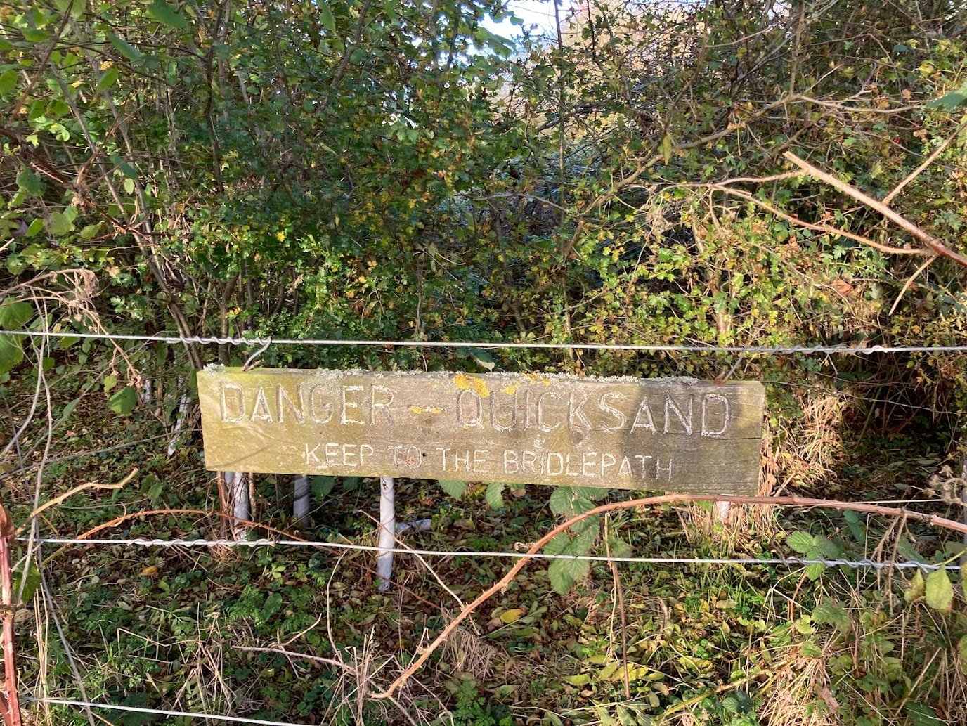 A weathered sign reads DANGER - QUICKSAND KEEP TO THE BRIDLEPATH, surrounded by dense greenery and partially obscured by vegetation and a barbed wire fence.