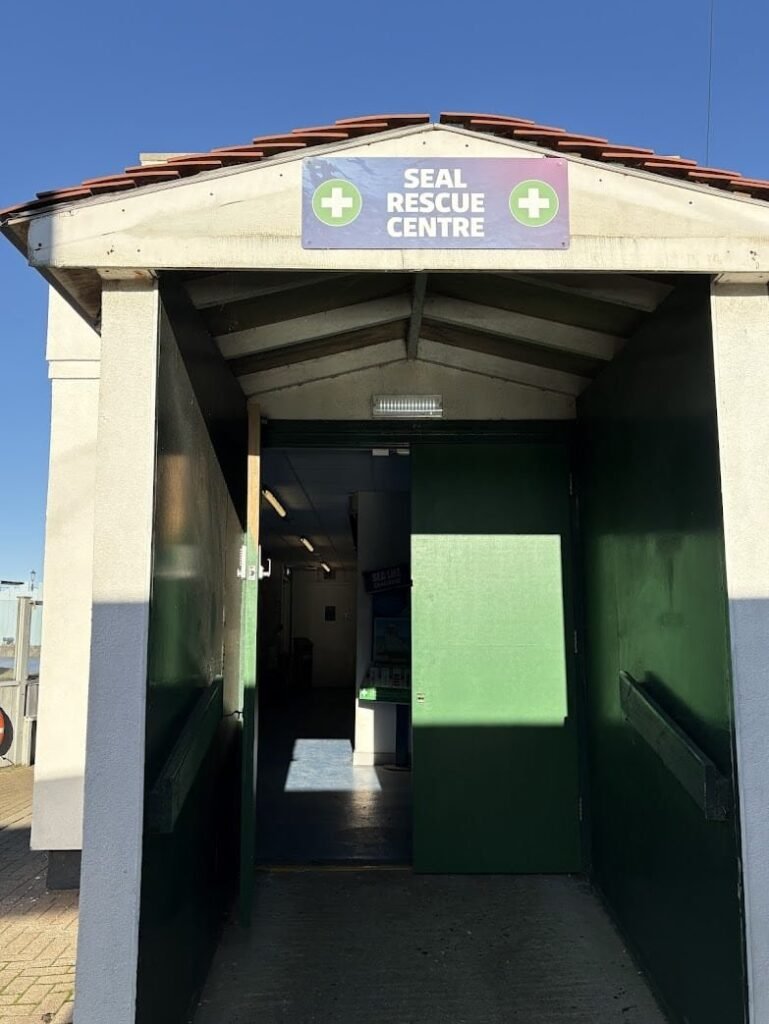 Things to do in Norfolk: Visit Sea Life Hunstanton's seal rescue center