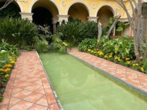 You must visit Villa de Ephrussi in Beaulieu-sur-Mer.