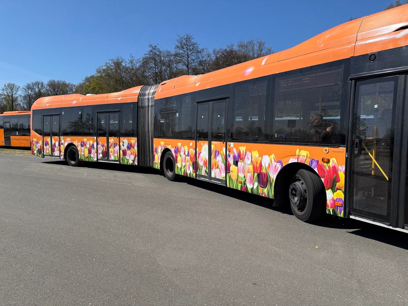 Getting to Keukenhof via public transport