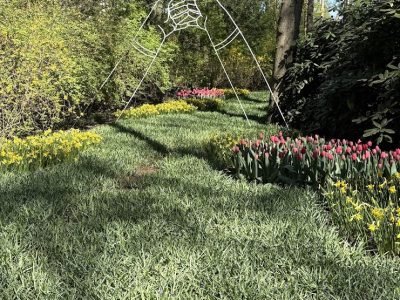 Artistic diplay at Keukenhof